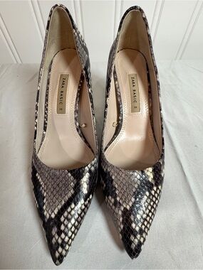 Zara Snake-Print Pointed Toe Pumps in Black and Cream
